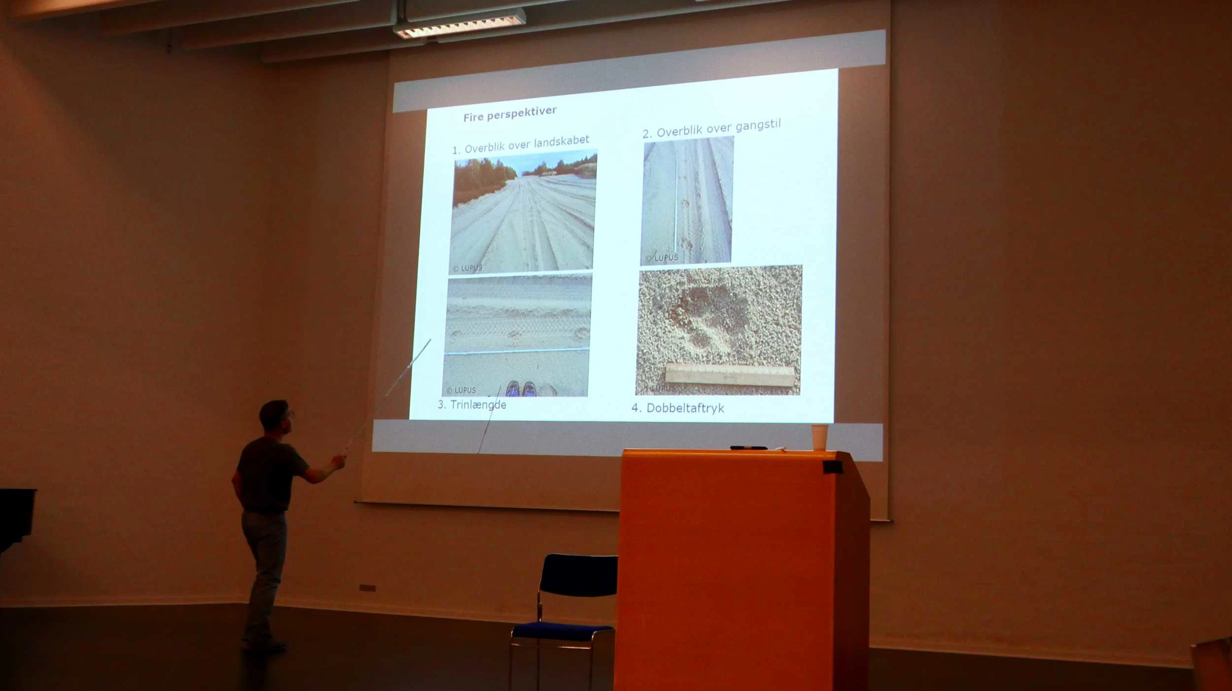 Todo