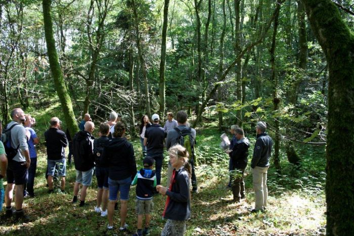 Naturens Dag ved Tvis Mølle 2016
