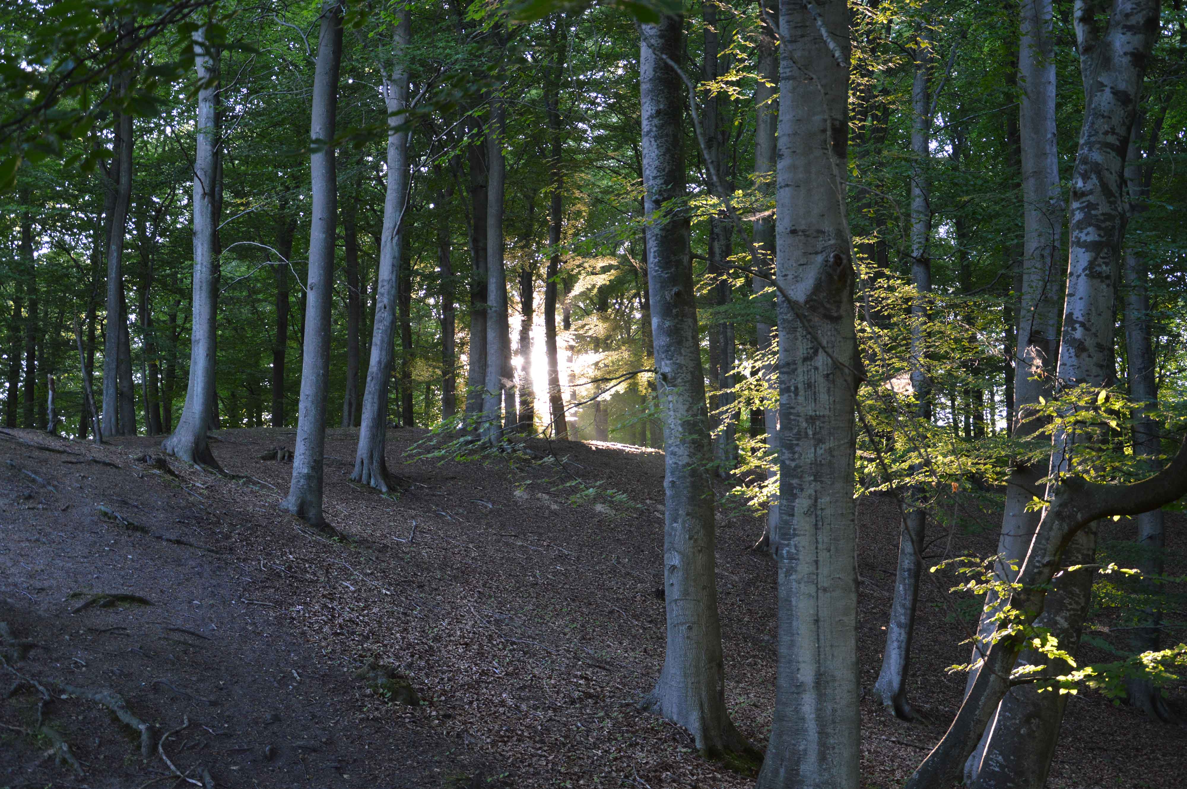 Halgård Skole på Naturskolen