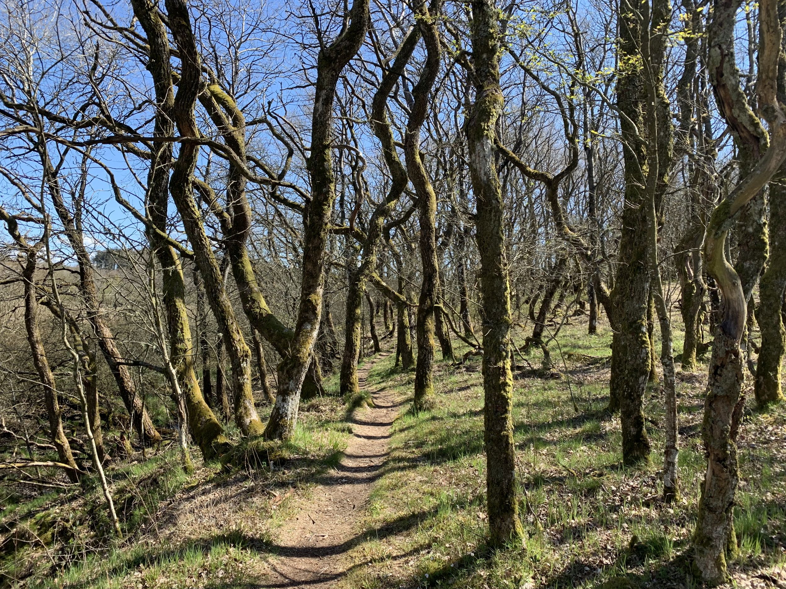 Ny naturblog på hjemmesiden