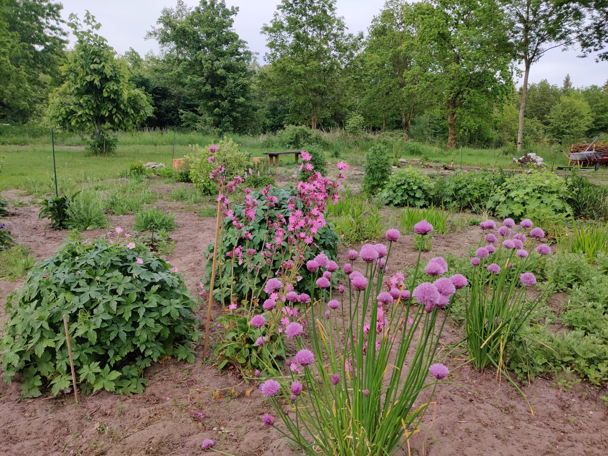 Indvielse af Sommerfuglelunden